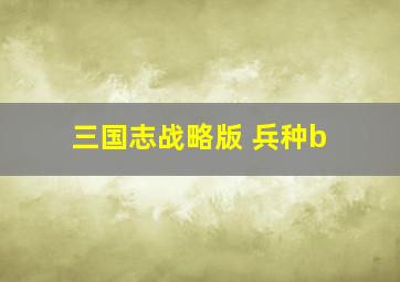 三国志战略版 兵种b